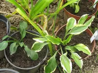 024_1024x768.webp