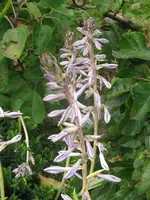 029_576x768.webp