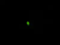 glühwurm_1024x768.webp