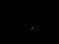 glühwurm1_1024x768.webp