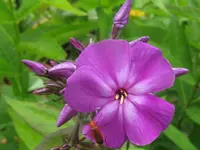 036_1024x768.webp