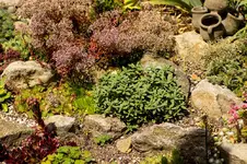 N 14-07-02-2825.webp