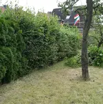 IMGP6763.webp