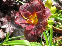 6903 kerstin_1024x768.webp