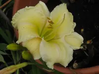 anja2.1_1024x768.webp