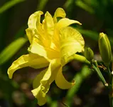 DSC_0009.webp