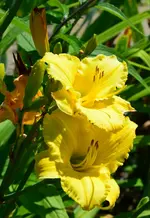 DSC_0033.webp