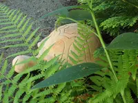SAM_4866.webp