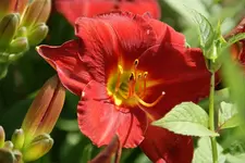 DSC09044.webp
