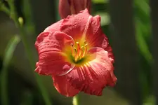DSC09060.webp