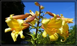 comp_DSC07078.webp