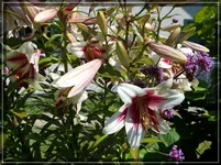 comp_DSC07084.webp