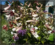 comp_DSC07091.webp