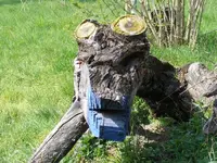 Krokodil.webp