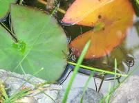CIMG8183.webp