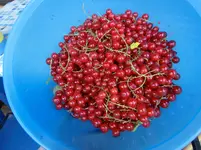 CIMG8186.webp