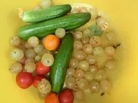 CIMG8187.webp