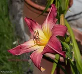 IMG_2772.webp