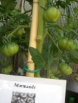 Marmande.jpg