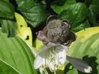 030_1024x768.webp