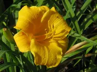 sonnenkind_1024x768.webp