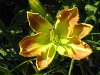 moroco_1024x768.webp