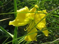 no name gelb_1024x768.webp
