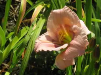 sil.david kirchoff_1024x768.webp