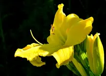 ubekanntegelbevorne.webp