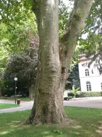 2014-07-07 12.43.40.webp