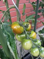 20140707_173459.webp