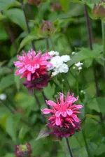 DSC_2020.webp