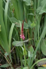 DSC_2023.webp