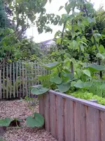 IMGP6769.webp
