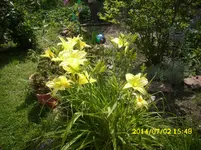 DSCI0515.webp