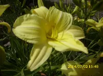 DSCI0516.webp