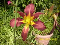 DSCI0527.webp