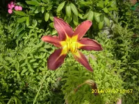 DSCI0528.webp