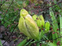 010_1024x768.webp