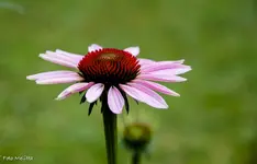 IMG_2803.webp