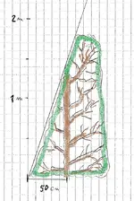 hecke2.webp