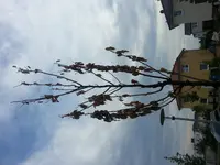 20140708_182114.webp