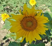 DSC02372.webp