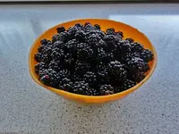 DSC02408.webp