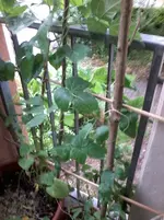 8.7 211.webp