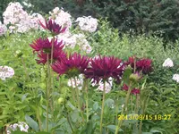 Sortieren 210.webp
