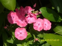 DSCI0529.webp