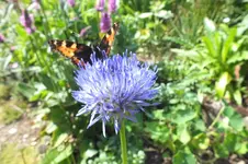 DSCF7263.webp