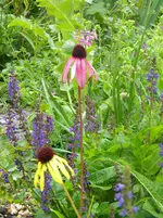 DSCN8943.webp