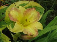 018_1024x768.webp